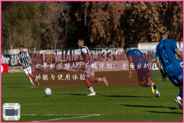 世界杯买球APP下载评测：全面分析功能与使用体验