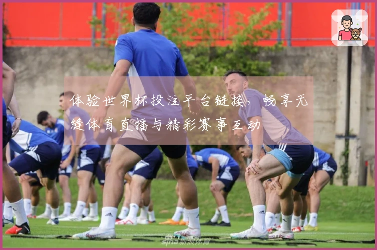 体验世界杯投注平台链接，畅享无缝体育直播与精彩赛事互动