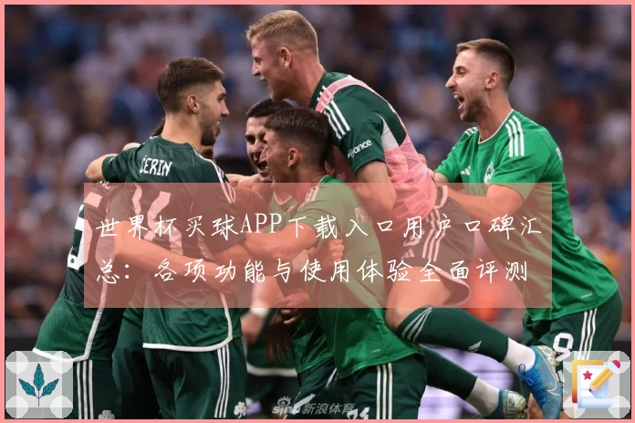 世界杯买球APP下载入口用户口碑汇总：各项功能与使用体验全面评测