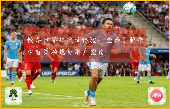 畅享世界杯投注体验，全面了解平台首页功能与用户指南