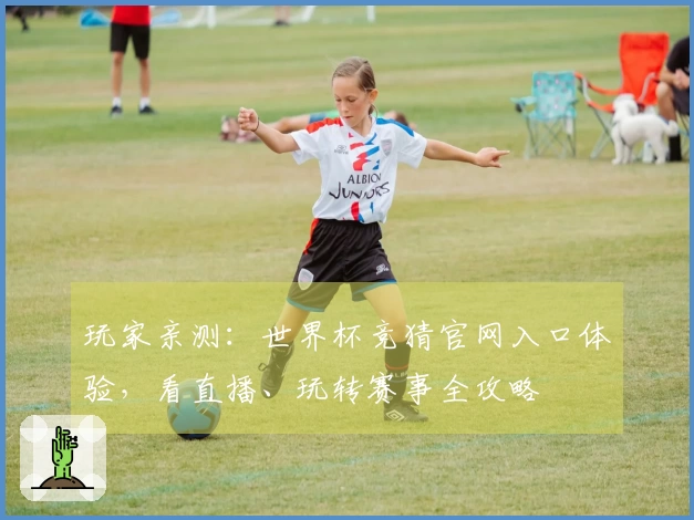 玩家亲测：世界杯竞猜官网入口体验，看直播、玩转赛事全攻略