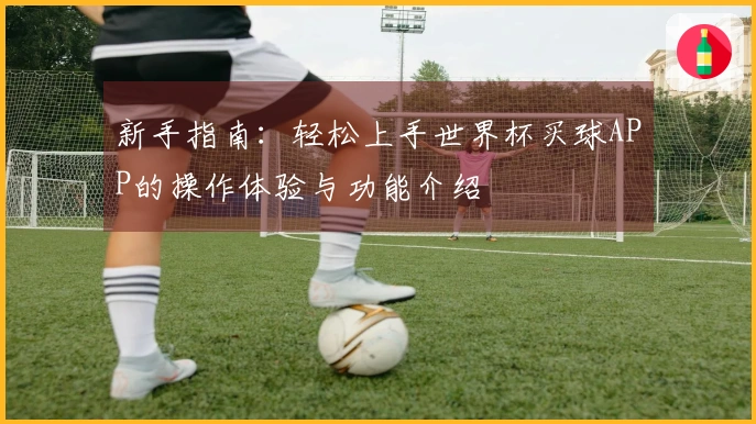 新手指南：轻松上手世界杯买球APP的操作体验与功能介绍