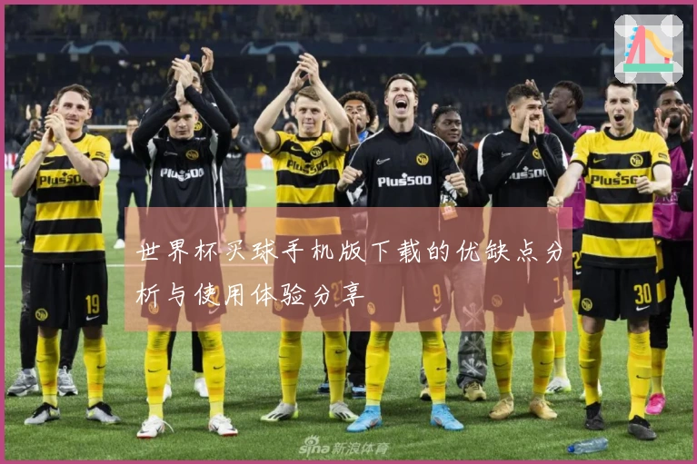 世界杯买球手机版下载的优缺点分析与使用体验分享