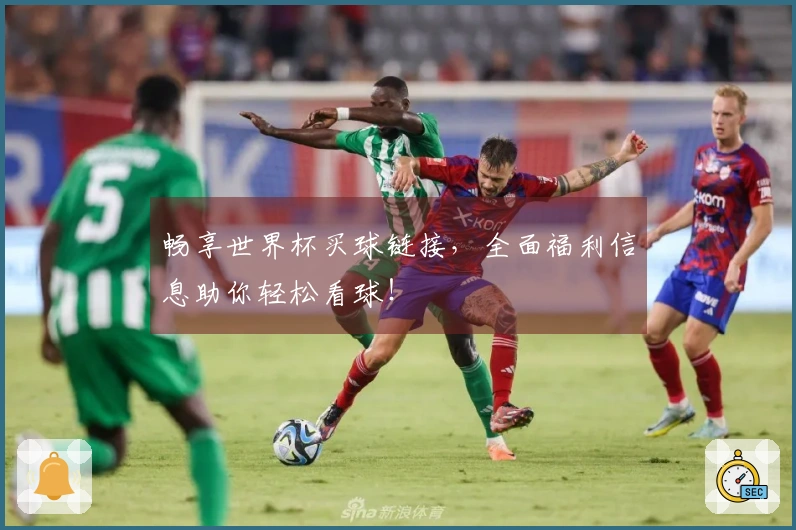 畅享世界杯买球链接，全面福利信息助你轻松看球！