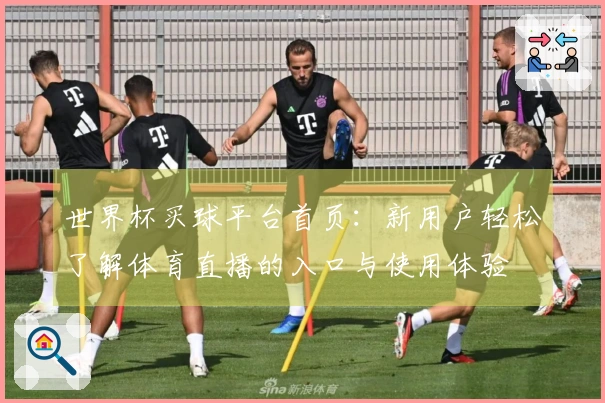 世界杯买球平台首页：新用户轻松了解体育直播的入口与使用体验