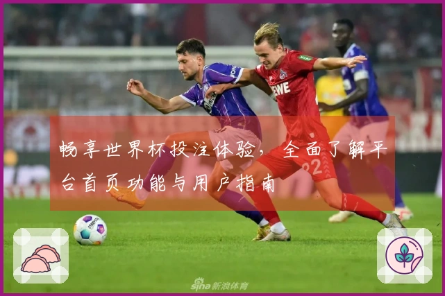 畅享世界杯投注体验，全面了解平台首页功能与用户指南