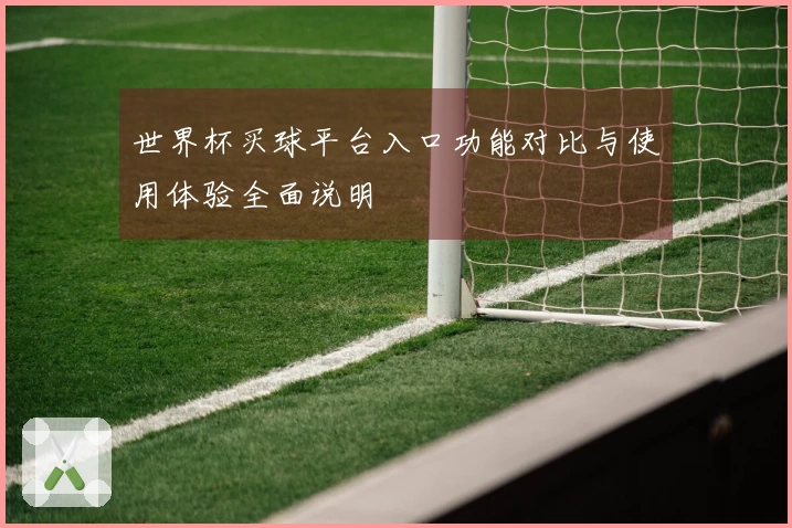 世界杯买球平台入口功能对比与使用体验全面说明