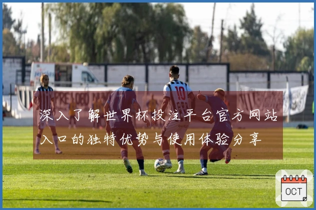 深入了解世界杯投注平台官方网站入口的独特优势与使用体验分享