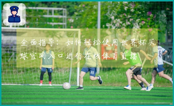 全面指导：如何轻松使用世界杯买球官网入口进行在线体育直播