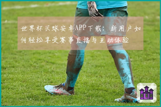 世界杯买球安卓APP下载：新用户如何轻松享受赛事直播与互动体验