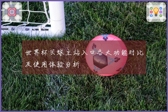 世界杯买球主站入口各大功能对比及使用体验分析
