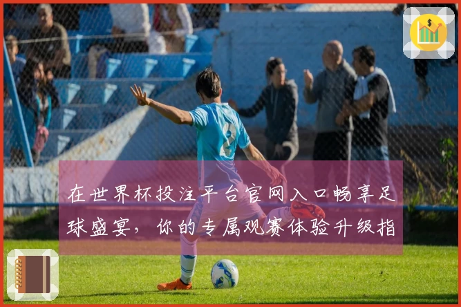 在世界杯投注平台官网入口畅享足球盛宴，你的专属观赛体验升级指南