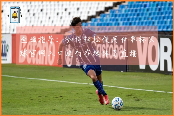 全面指导：如何轻松使用世界杯买球官网入口进行在线体育直播