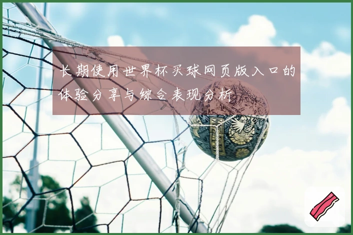 长期使用世界杯买球网页版入口的体验分享与综合表现分析