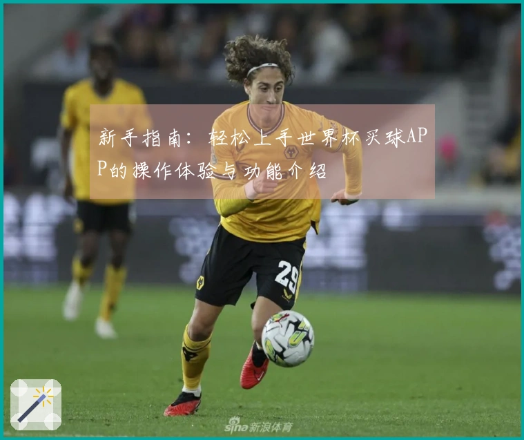 新手指南：轻松上手世界杯买球APP的操作体验与功能介绍
