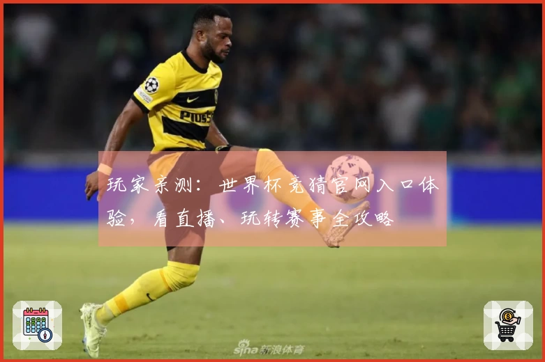 玩家亲测:世界杯竞猜官网入口体验,看直播、玩转赛事全攻略